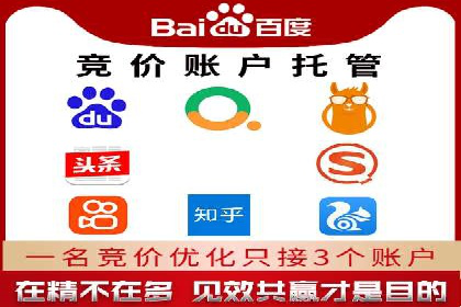 低成本高回报：百度竞价代理成功案例分析